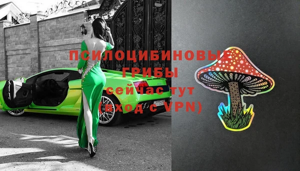 мдпв Медвежьегорск