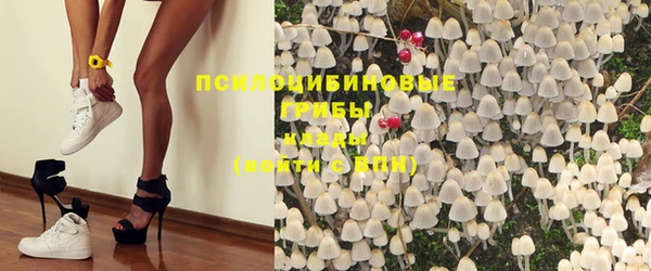 трава Медногорск