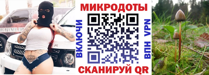 Псилоцибиновые грибы мухоморы  где найти наркотики  Фокино 